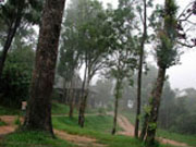  Kaeng Krachan National Park 
