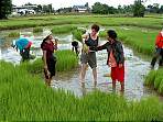 Turist i Bangkoks baghave